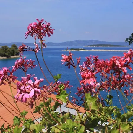 By The Sea Zaglav, Dugi Otok - 8191 Apartment *
